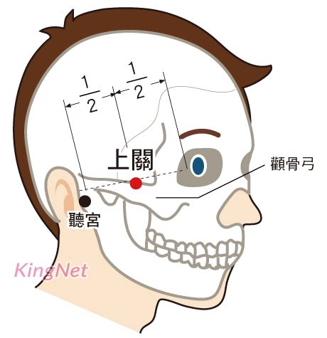 客主人 位置|上關穴位置 